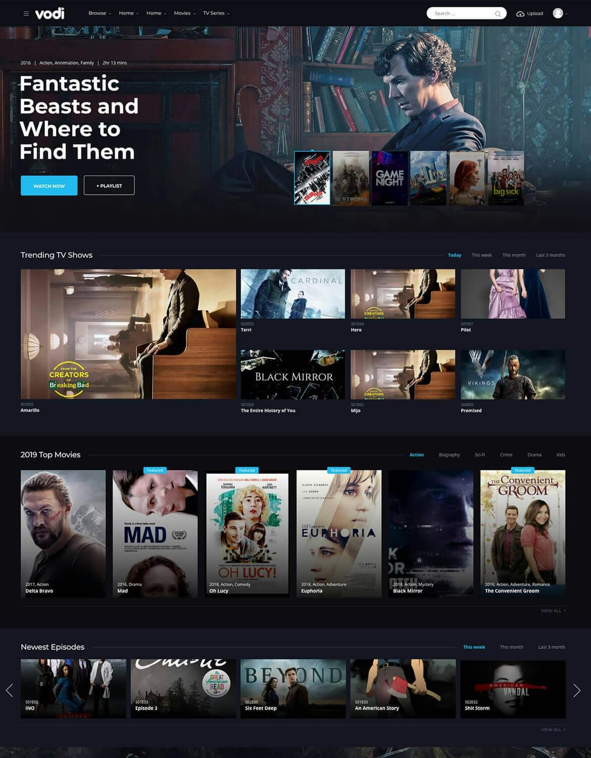 Vodi WordPress Theme
