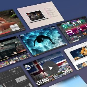 DZS Video Gallery